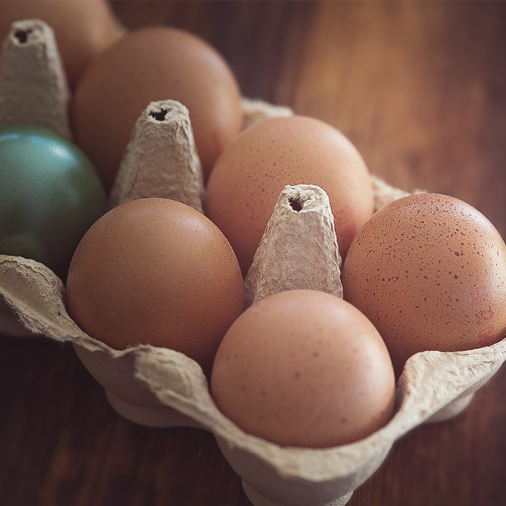 Egg Cartons & Trays