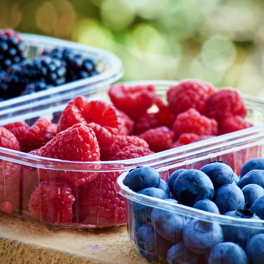 Fruit Containers & Trays