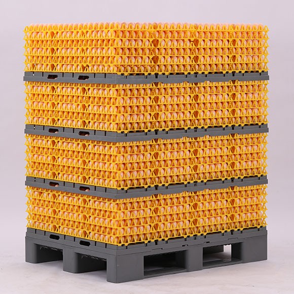 Egg Transport System